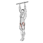 Hanging Leg Raise, start position