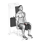 Hip Adduction Machine, peak position