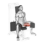Hip Adduction Machine, start position