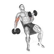 Incline Dumbbell Curl, peak position