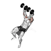 Incline Dumbbell Press, start position