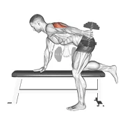 Tricep Kickback, peak position