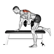 Tricep Kickback, start position