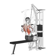 Lat Pulldown, peak position