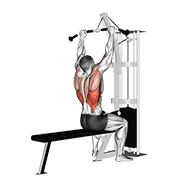 Lat Pulldown, start position