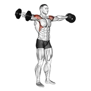 Dumbbell Lateral Raise, peak position