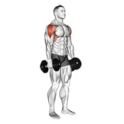 Dumbbell Lateral Raise, start position