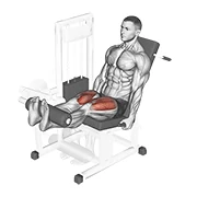 Leg Extension, peak position