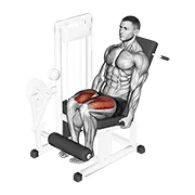 Leg Extension, start position