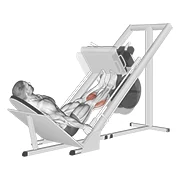 Leg Press Calf Raise, peak position