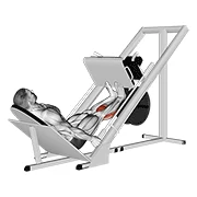 Leg Press Calf Raise, start position