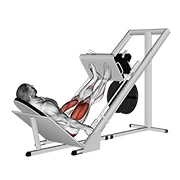 Leg Press, start position