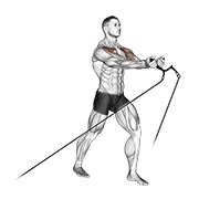 Low-to-High Cable Fly, peak position