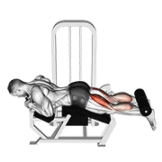 Lying Leg Curl, start position