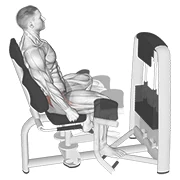 Hip Abduction Machine, peak position