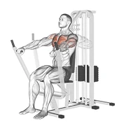 Machine Chest Press, peak position