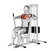 Machine Chest Press, start position