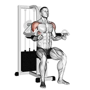 Machine Lateral Raise, start position