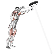 Machine Shoulder Press, peak position