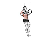 Muscle-up, peak position