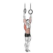 Muscle-up, start position
