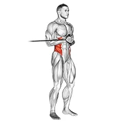 Pallof Press, start position