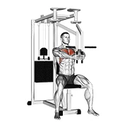 Pec Deck Fly, peak position