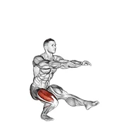 Pistol Squat, peak position