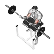 Preacher Curl, peak position