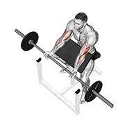 Preacher Curl, start position