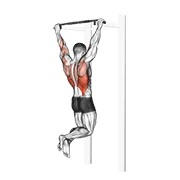 Pull-up, start position