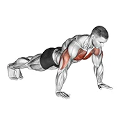 Push-up, start position