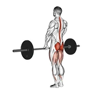 Romanian Deadlift, peak position