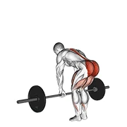 Romanian Deadlift, start position