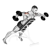 Rear Delt Fly, peak position