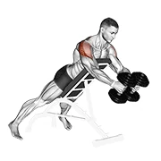 Rear Delt Fly, start position