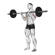 Reverse Curl, peak position