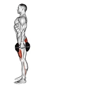 Reverse Lunge, start position