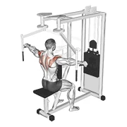 Reverse Pec Deck, peak position