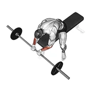 Reverse Wrist Curl, start position