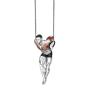 Ring Dip, peak position