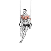 Ring Dip, start position