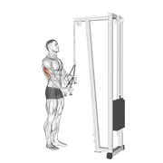 Rope Pushdown, peak position