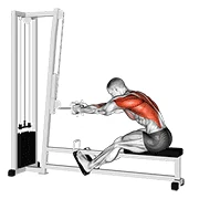 Seated Cable Row, start position