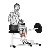 Seated Calf Raise, peak position