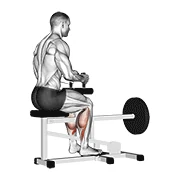 Seated Calf Raise, start position