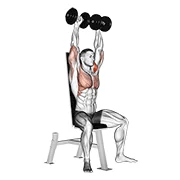 Seated Dumbbell Press, peak position