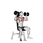 Seated Dumbbell Press, start position