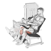 Seated Leg Curl, peak position