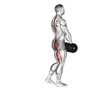 Single-Leg RDL, start position